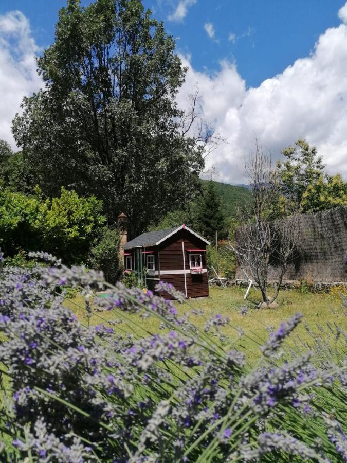 Hotel Rural El Marquesito Antigua Casa Carmela 아레나스 데 산 페드로 외부 사진