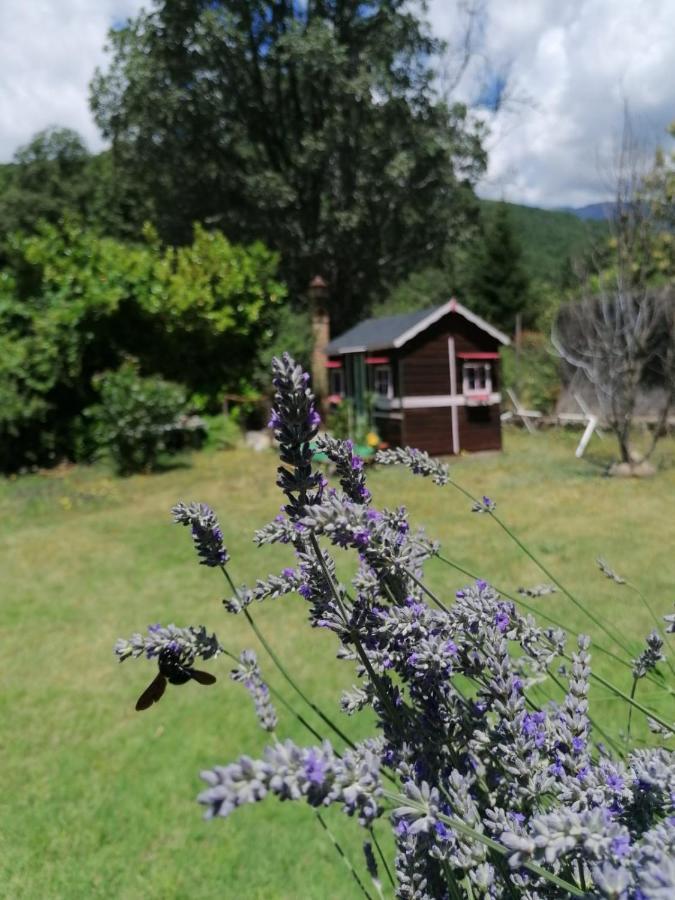 Hotel Rural El Marquesito Antigua Casa Carmela 아레나스 데 산 페드로 외부 사진
