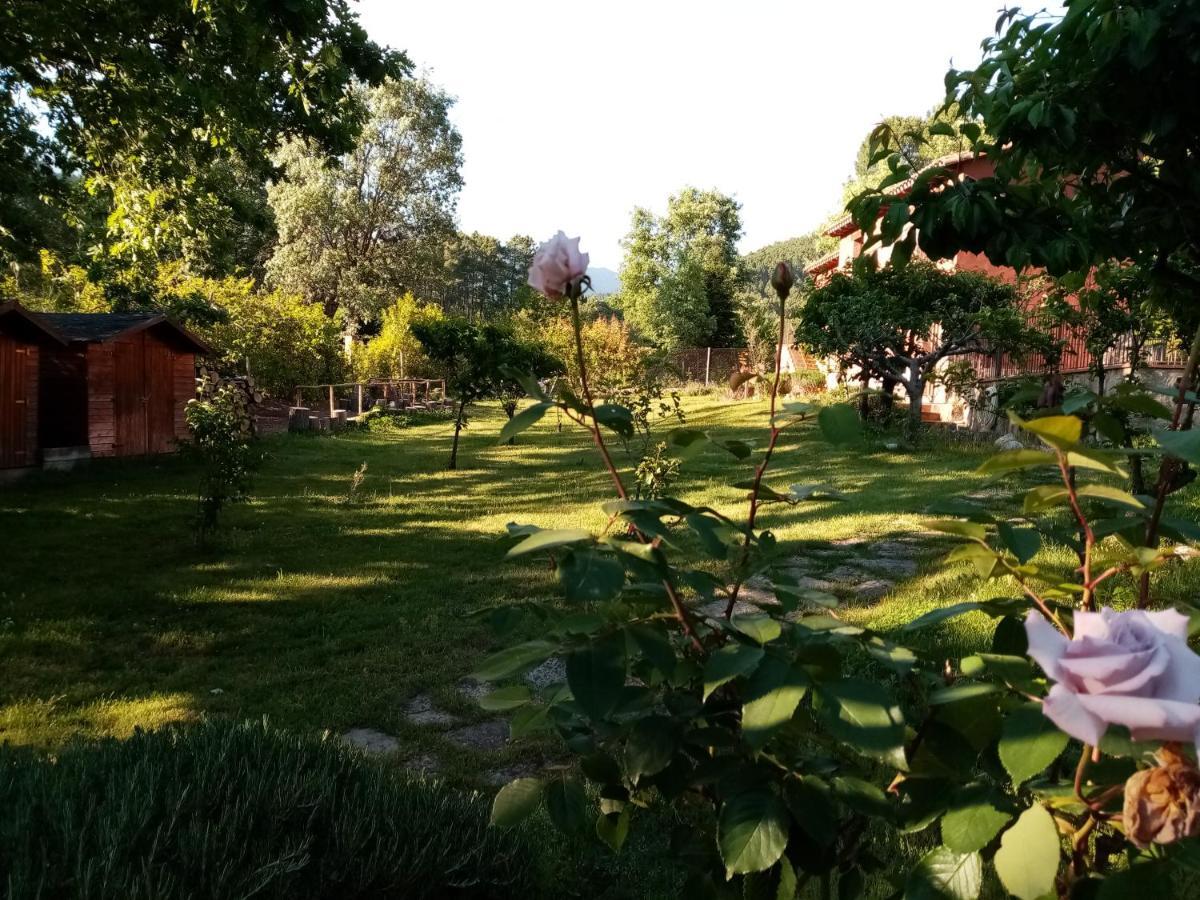 Hotel Rural El Marquesito Antigua Casa Carmela 아레나스 데 산 페드로 외부 사진